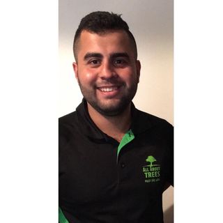 AAT All About Trees
