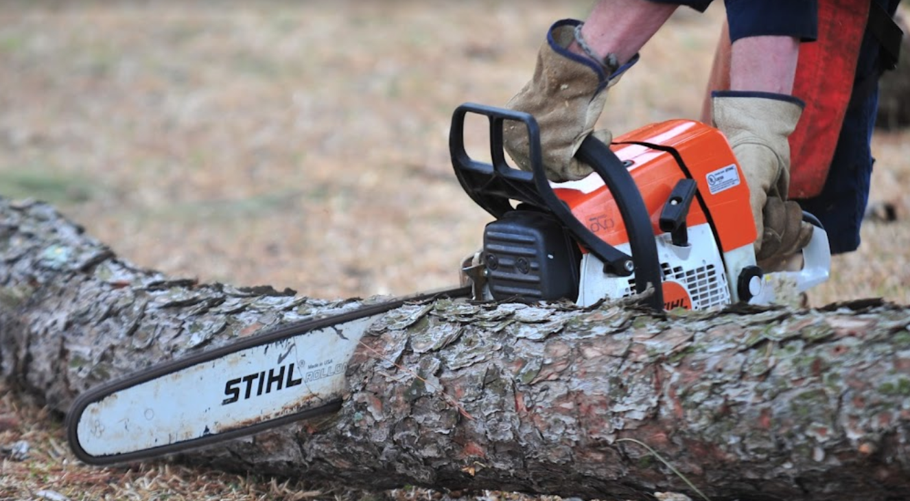 AAT All About Trees