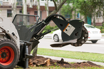 AAT All About Trees